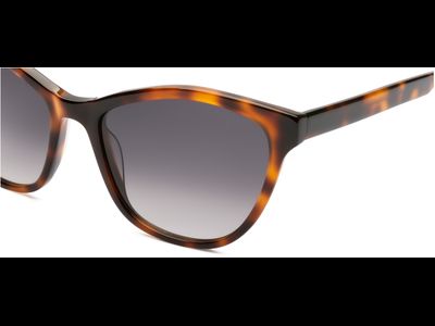 FRAIMS Sun Sonnenbrille Damen FRAIMS 13-08040-01 Tina, Dunkelhavanna glänzend Ansicht 5