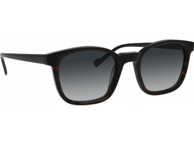 FRAIMS Sun Sonnenbrille Herren FRAIMS 13-38020-01 Mick, Havanna glänzend Ansicht 4