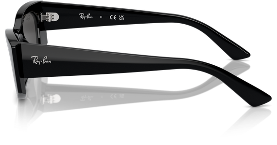 Ray-Ban Kat RB4427 667787 49 - Ansicht 4