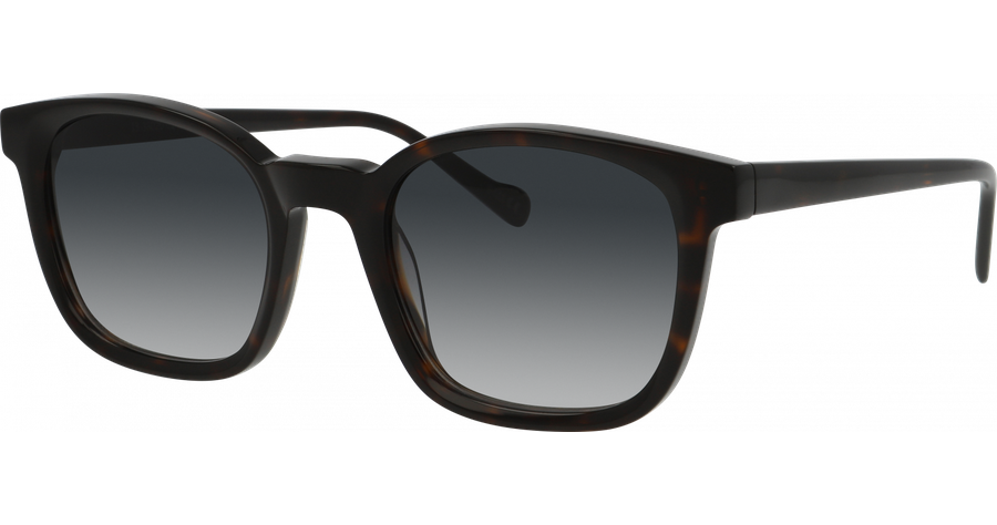 FRAIMS Sun Sonnenbrille Herren FRAIMS 13-38020-01 Mick, Havanna glänzend Ansicht 1