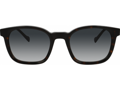 FRAIMS Sun Sonnenbrille Herren FRAIMS 13-38020-01 Mick, Havanna glänzend Ansicht 2